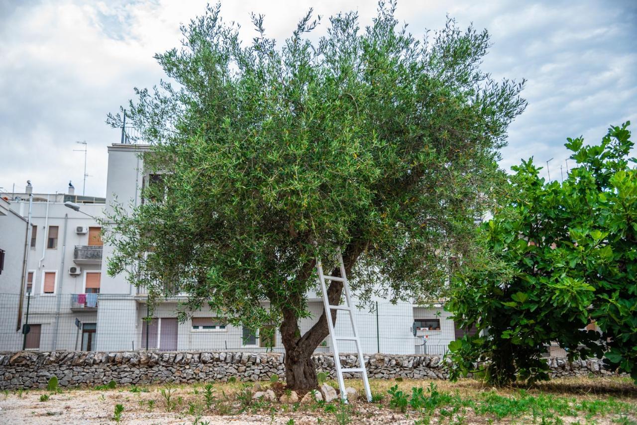 Trulli Dimora Palmisano Apartment โลโกโรตอนโด ภายนอก รูปภาพ